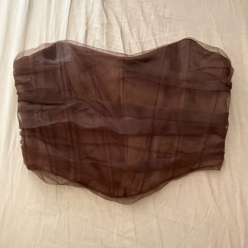 Zara Brown Tulle Corset Top
